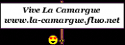 LEs taureaux Camargues croises Gs_42cfc